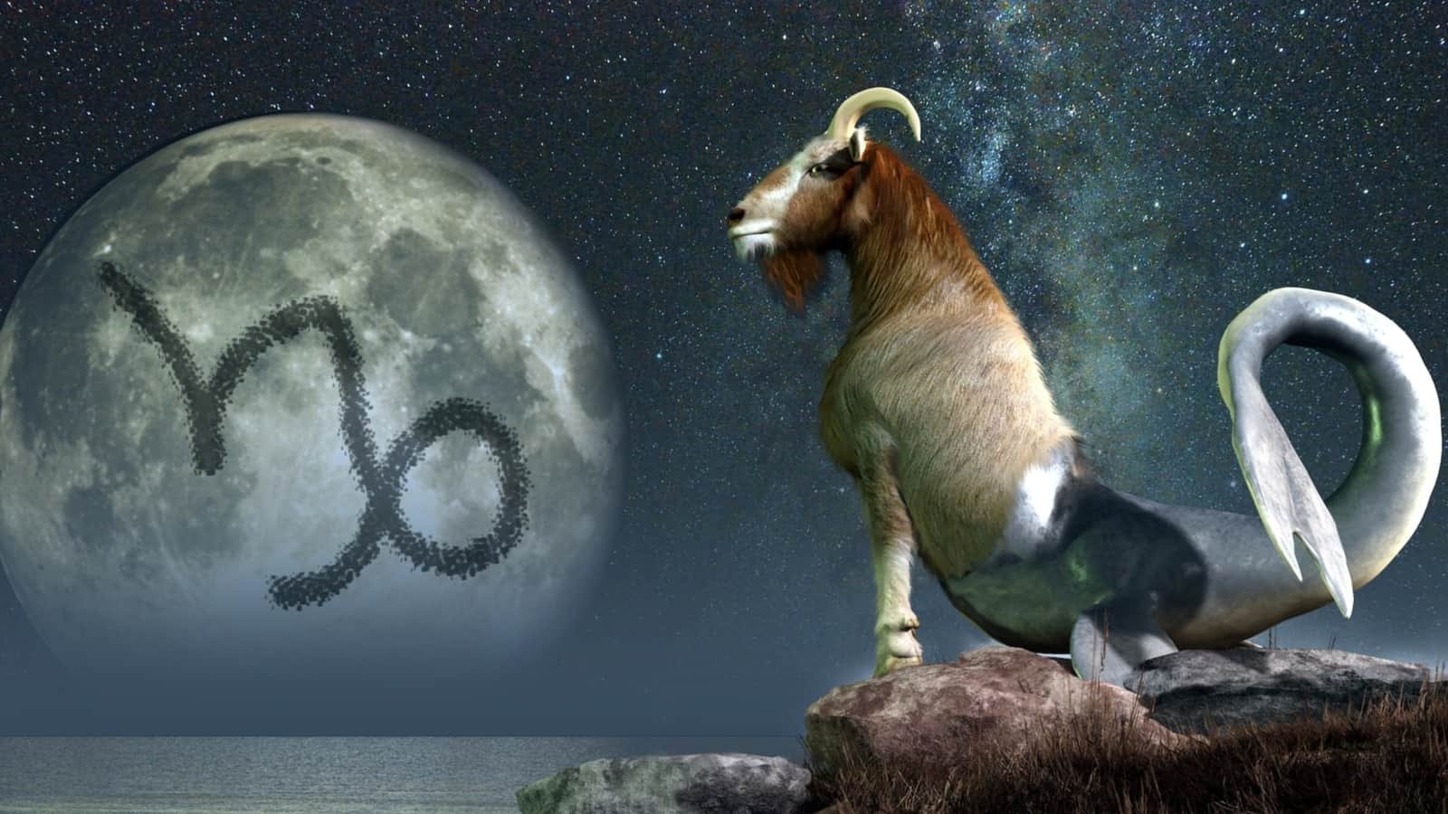 साप्ताहिक राशिफल मकर, फरवरी 19-25, 2023: आशावादी दृष्टिकोण बनाएं