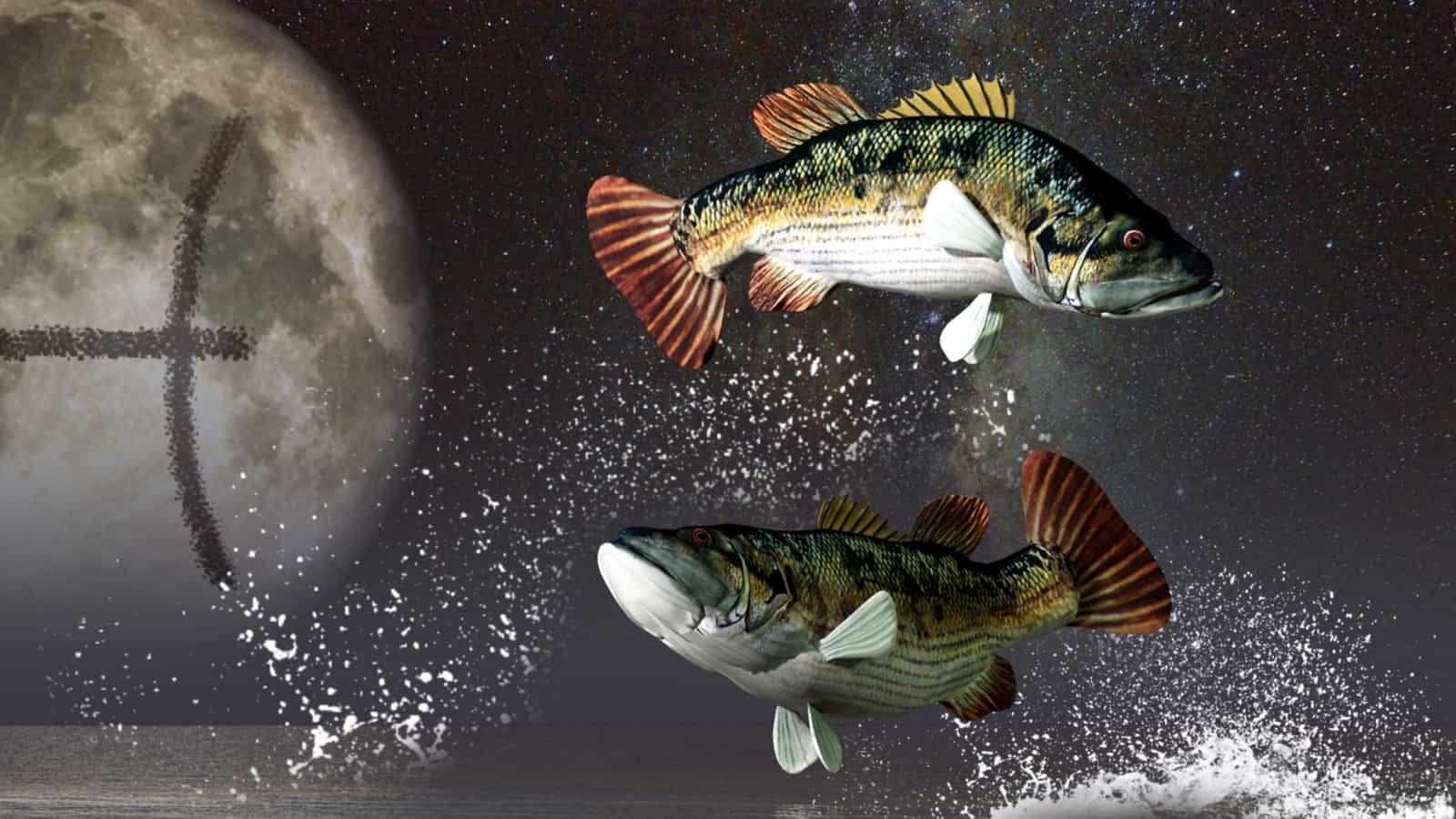 साप्ताहिक राशिफल मीन, फरवरी 19-25, 2023: रोमांटिक यात्रा की अपेक्षा करें