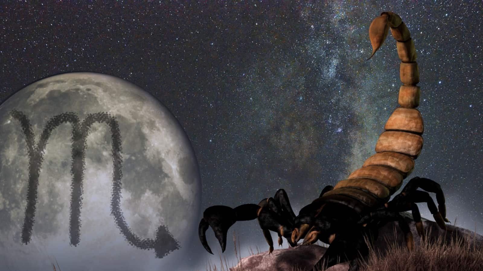 साप्ताहिक राशिफल वृश्चिक, फरवरी 19-25, 2023: आप जल्द ही अपने लक्ष्यों को प्राप्त कर सकते हैं