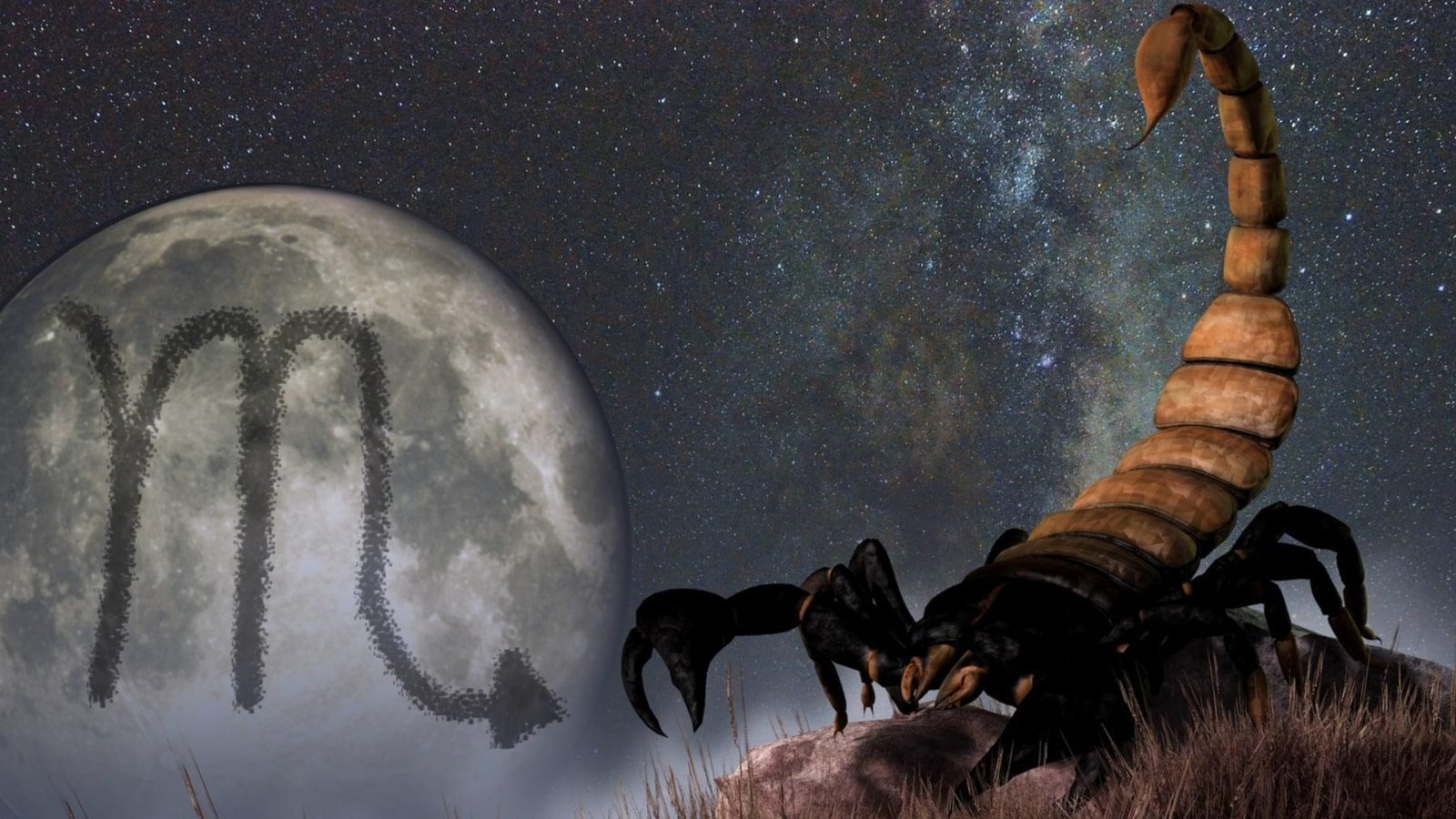 साप्ताहिक राशिफल वृश्चिक, फरवरी 5-11, 2023: एक रोमांचक नया रोमांस