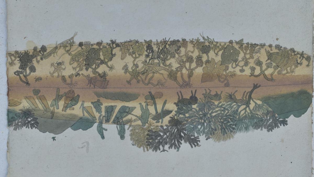 केरल के तीन ललित कला महाविद्यालयों के कलाकार-शिक्षाविद तिरुवनंतपुरम में एक प्रदर्शनी में अपने कार्यों का प्रदर्शन करते हैं