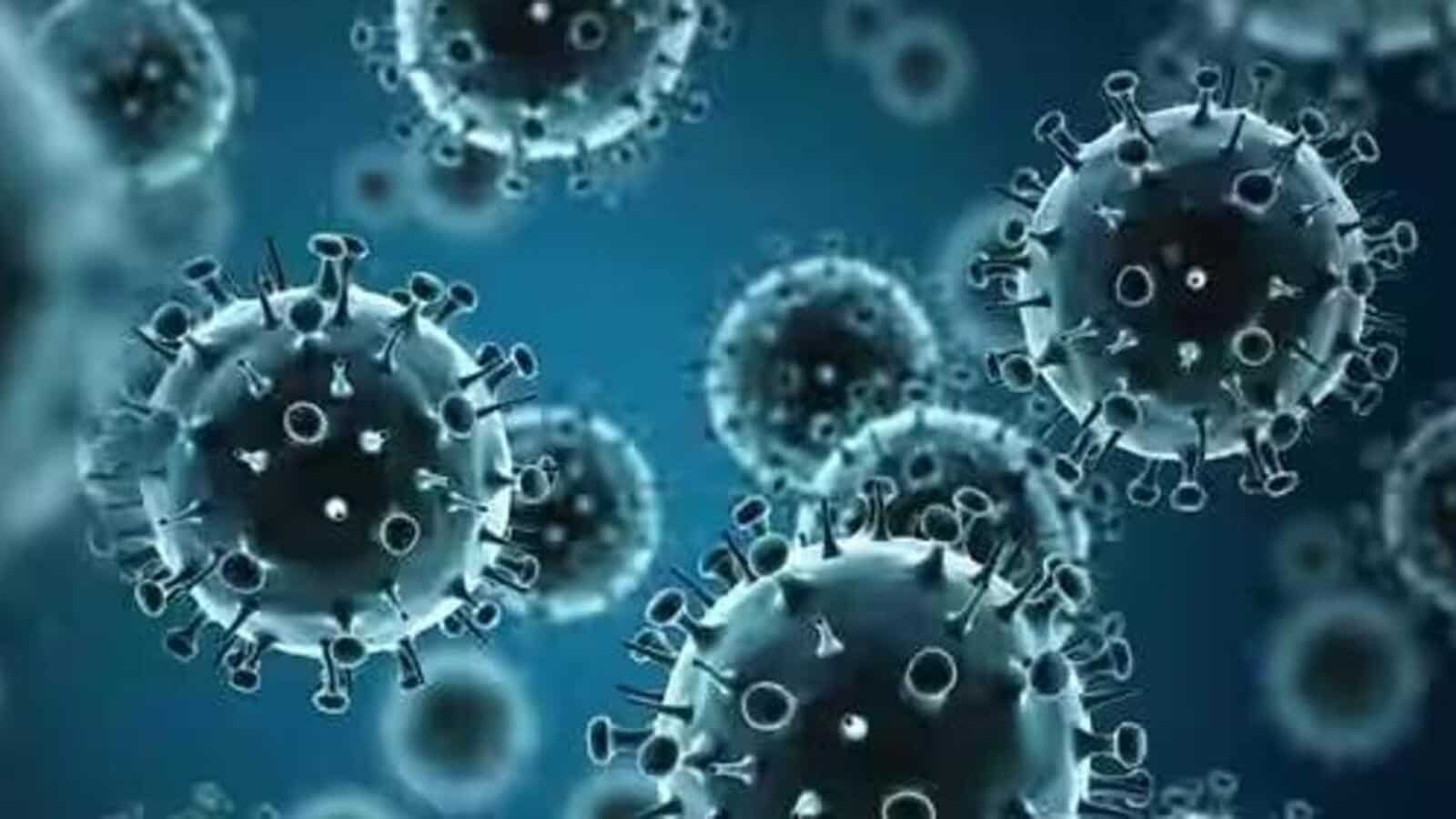 बिहार में पहला एच3एन2 मामला, संक्रमित महिला स्वस्थ हुई