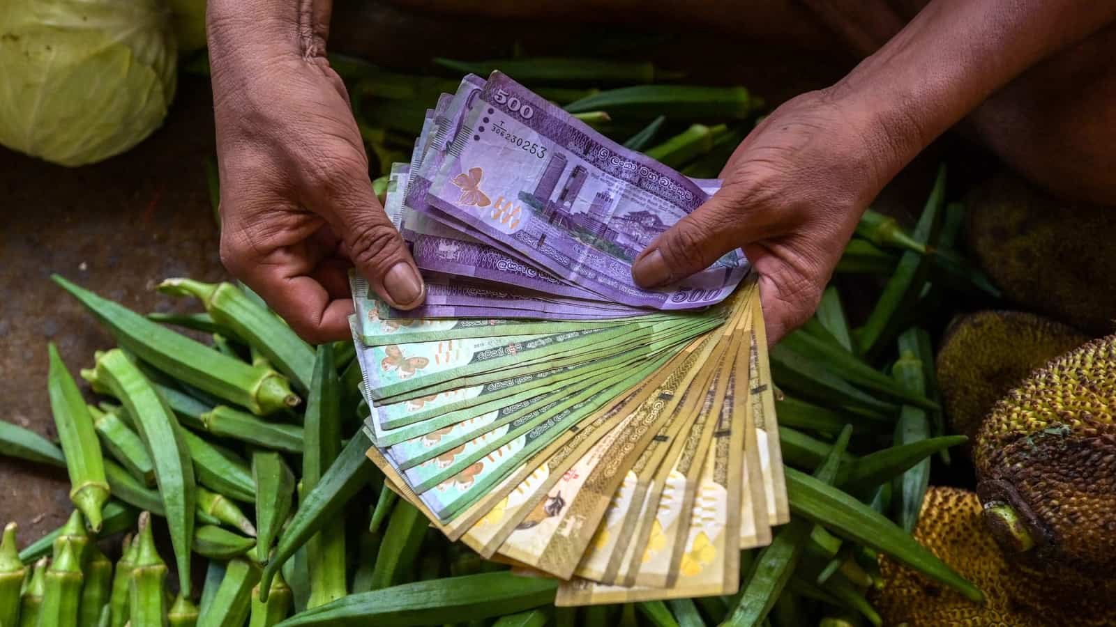 चल रहे आर्थिक संकट के बीच श्रीलंका ने आईएमएफ बेलआउट सुरक्षित किया: घटनाओं की समयरेखा