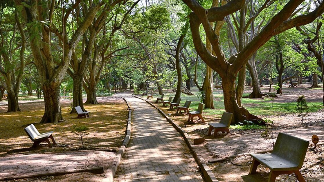 19 मार्च, 2023 को कर्नाटक की प्रमुख खबरें