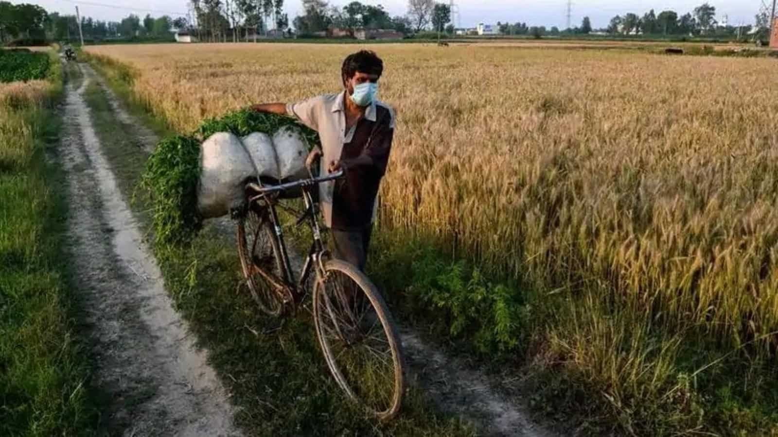 PM KISAN योजना: अब लाभार्थी आधार के अनुसार नाम बदल सकते हैं।  चरणों की जाँच करें