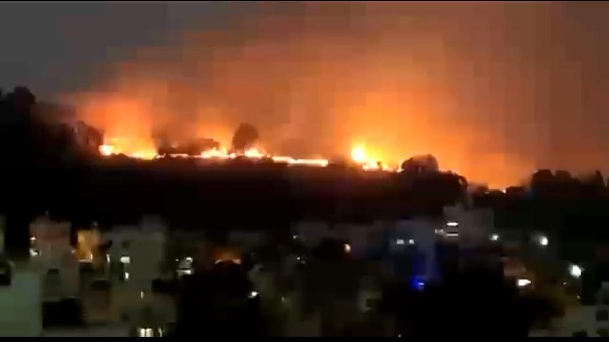 तुरहल्ली वन वन: नुकसान की सीमा का पता लगाया जाना है