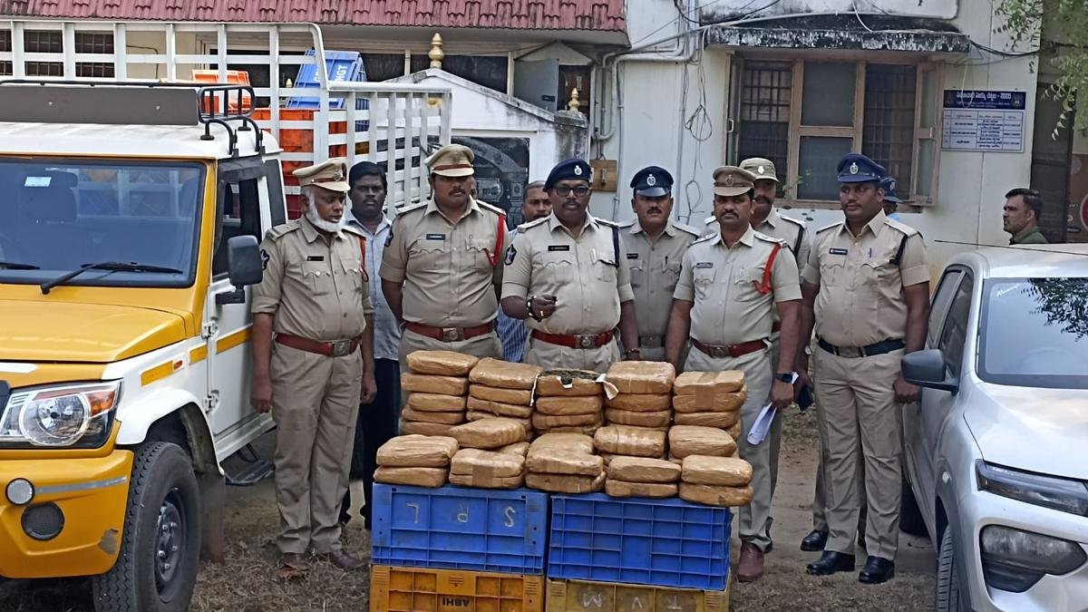 प्रकाशम में अंतरराज्यीय गांजा रैकेट का पर्दाफाश