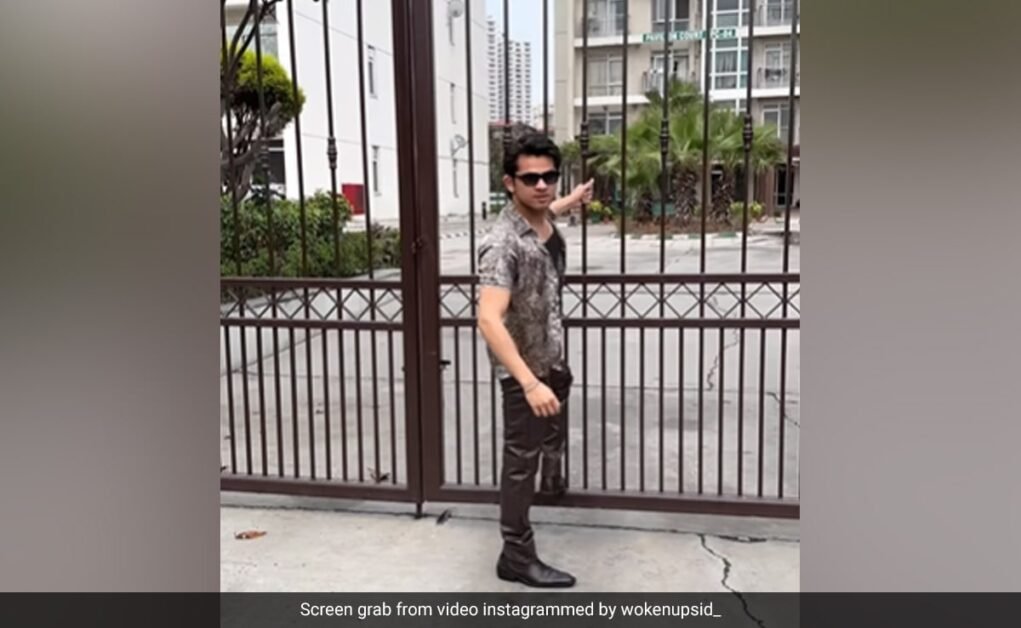 वरुण धवन को यह मिमिक्री वीडियो 'पसंद' आया लेकिन यहां बताया गया है कि उन्होंने क्या अलग किया होगा