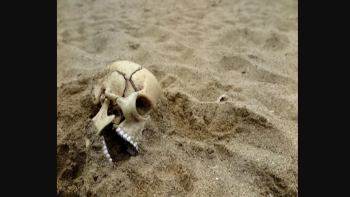 सउदी अरब में मिले 7 हजार साल पुराने आदमी, पशुओं के अवशेष!