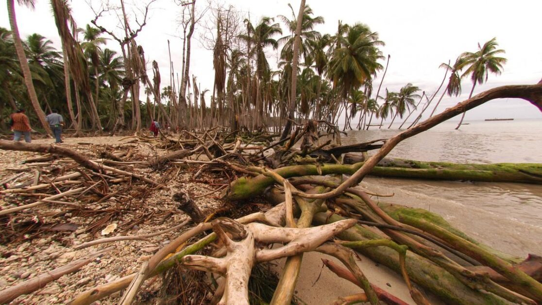 एनजीटी ने ग्रेट निकोबार द्वीप परियोजना को दी गई पर्यावरणीय मंजूरी पर फिर से विचार करने के लिए उच्चाधिकार प्राप्त समिति का गठन किया