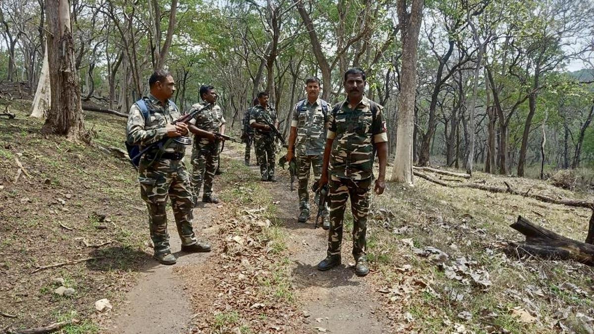 तमिलनाडु पुलिस के विशेष कार्य बल ने मुदुमलाई वन क्षेत्र की तलाशी ली