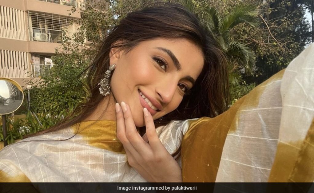 पलक तिवारी ने इब्राहिम अली खान को डेट करने की अफवाहों को किया खारिज: 'मैं अपने काम पर फोकस करूंगी'