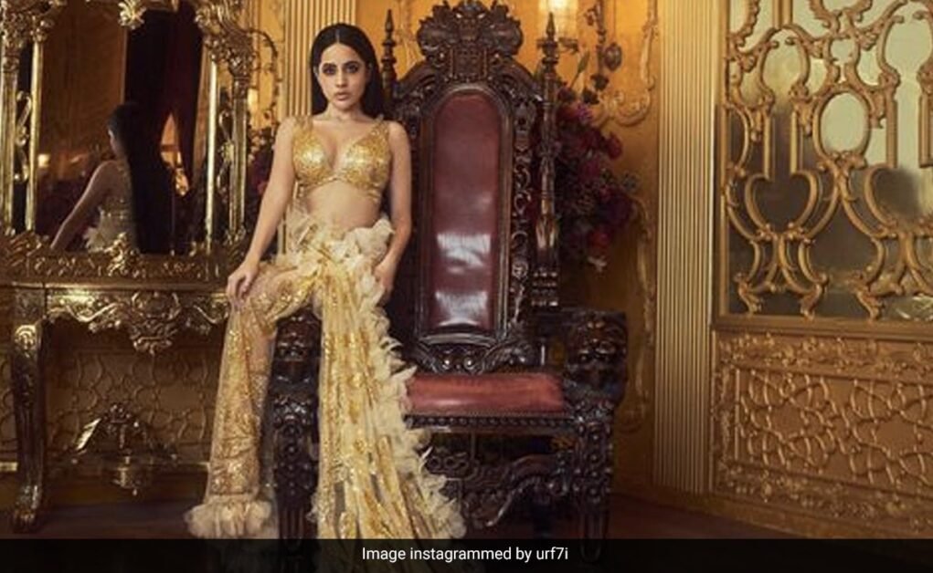 रणबीर कैन गो टू हेल': अभिनेता के 'खराब स्वाद' वाले कमेंट पर उओर्फी जावेद ने दी प्रतिक्रिया