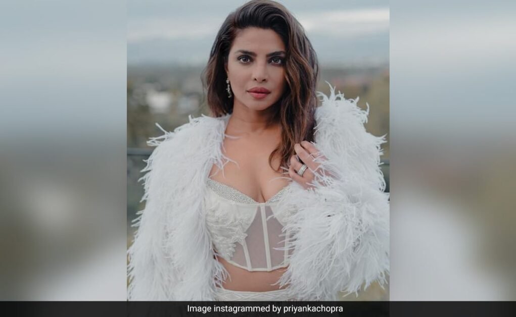 राज्य के प्रमुख: प्रियंका चोपड़ा ने जॉन सीना और इदरीस एल्बा के साथ अपनी अगली फिल्म की घोषणा की