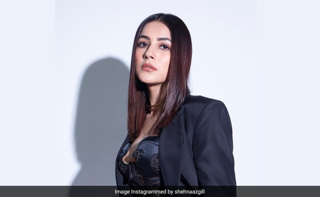 सेट पर सलमान खान के ड्रेस कोड के बारे में पूछे जाने पर शहनाज गिल ने कहा...