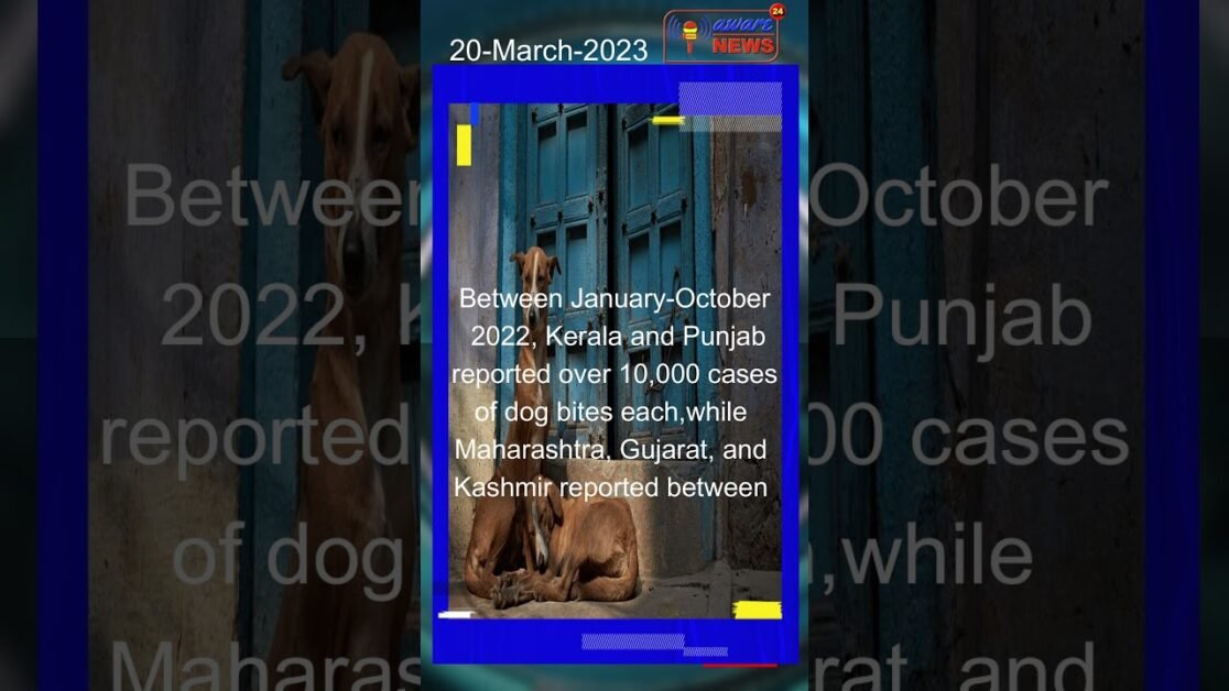 आवारा कुत्ते भारत के लिए कितनी बड़ी समस्या हैं आइये इस report में देखें आनंद की रिपोर्ट #shortsnews