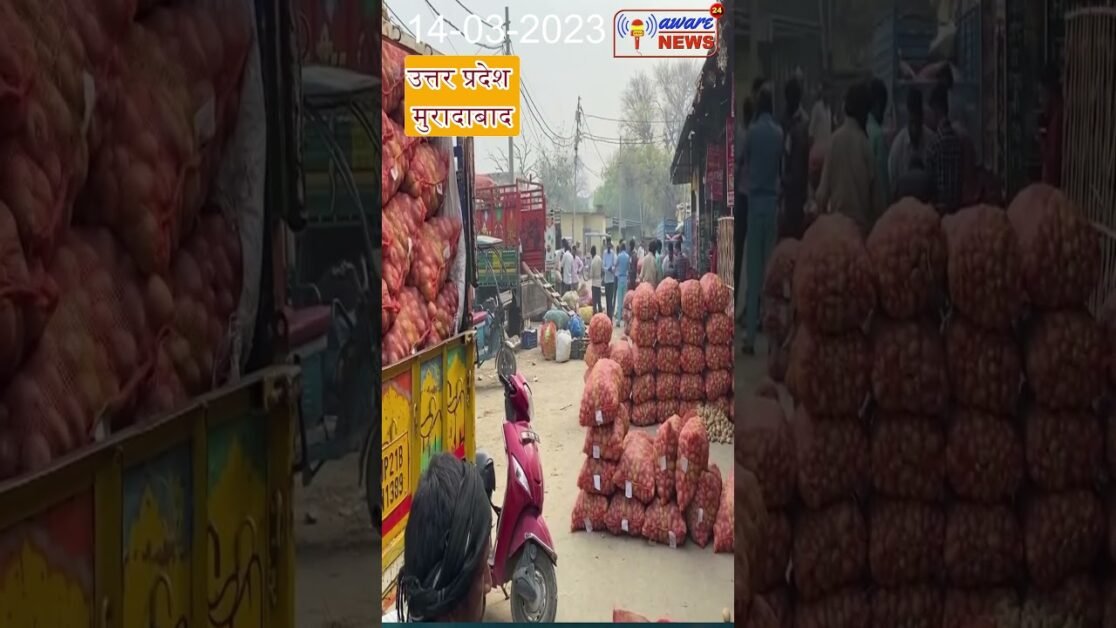 उत्तर प्रदेश  मुरादाबाद में कोल्ड स्टोरेज फुल, आलूकिसानों को परेशानीका सामना करना पड़रहा है #shorts