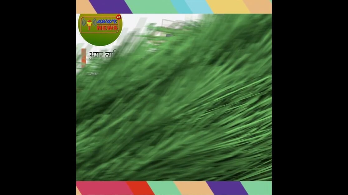 समय नही कर्म बतलाता है, क्योंकि कृष्ण है तो कर्म है #shorts #viral #sucvichar #krishnahaitoukarmhai