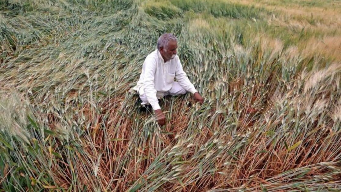 केंद्र ने ₹1.08 लाख करोड़ खरीफ उर्वरक सब्सिडी को मंजूरी दी;  दरें अपरिवर्तित रहेंगी