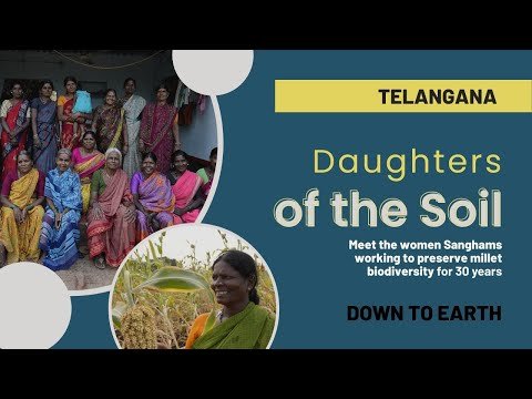 30 वर्षों से बाजरे की जैव विविधता को संरक्षित करने के लिए काम कर रही तेलंगाना की दलित महिलाओं से मिलें