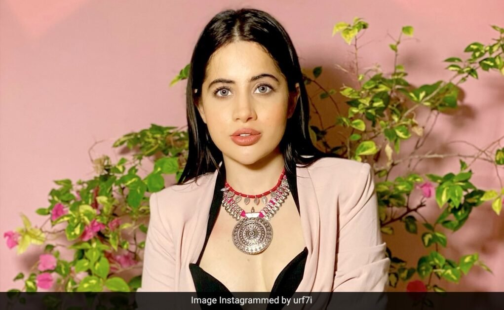 उरोफी जावेद का दावा है कि उन्हें कार्यक्रम से हटा दिया गया था क्योंकि वह माधुरी दीक्षित की अतिथि सूची में नहीं थीं