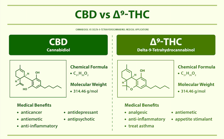 CBD बनाम डेल्टा9 THC के रासायनिक सूत्र और संरचनात्मक संरचना का चित्रण।