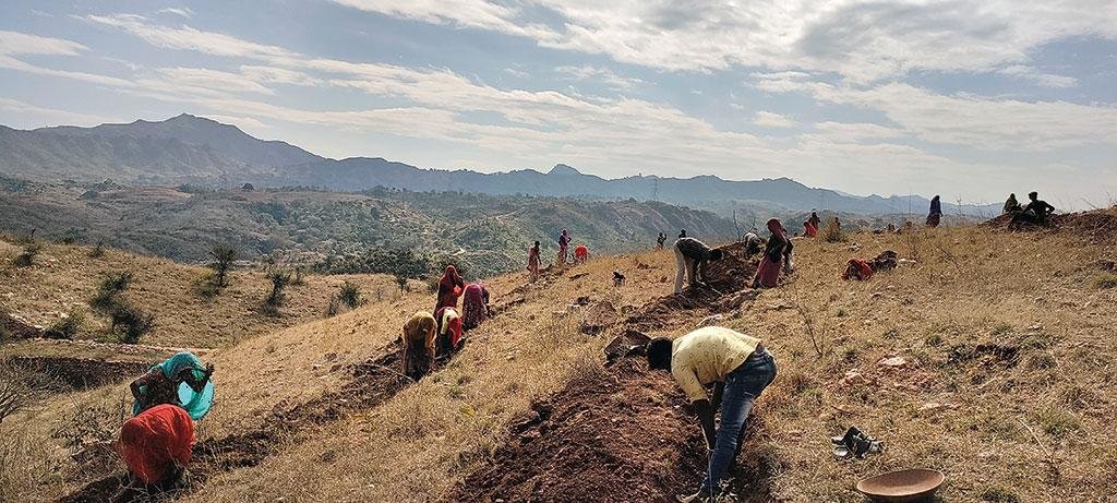 तिरोल गांव के निवासी चरागाह पुनरुद्धार के लिए चिह्नित भूमि पर काम करते हैं, यह सुनिश्चित करने के लिए कि भूमि में नमी बनी रहे (फोटो: रेहान मोइन, पारिस्थितिक सुरक्षा के लिए नींव)