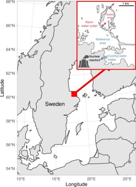 जलीय जंतु गर्म पानी में बड़े होंगे, आकार में सिकुड़ेंगे नहीं: अध्ययन