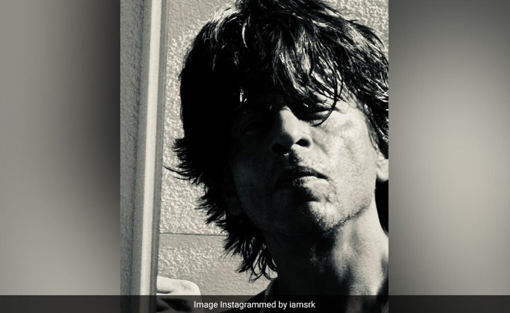 जवानों के पोस्टर में 'मिसिंग' की शिकायत के बाद शाहरुख खान ने शेयर की नई तस्वीर  इंटरनेट प्रभावित है