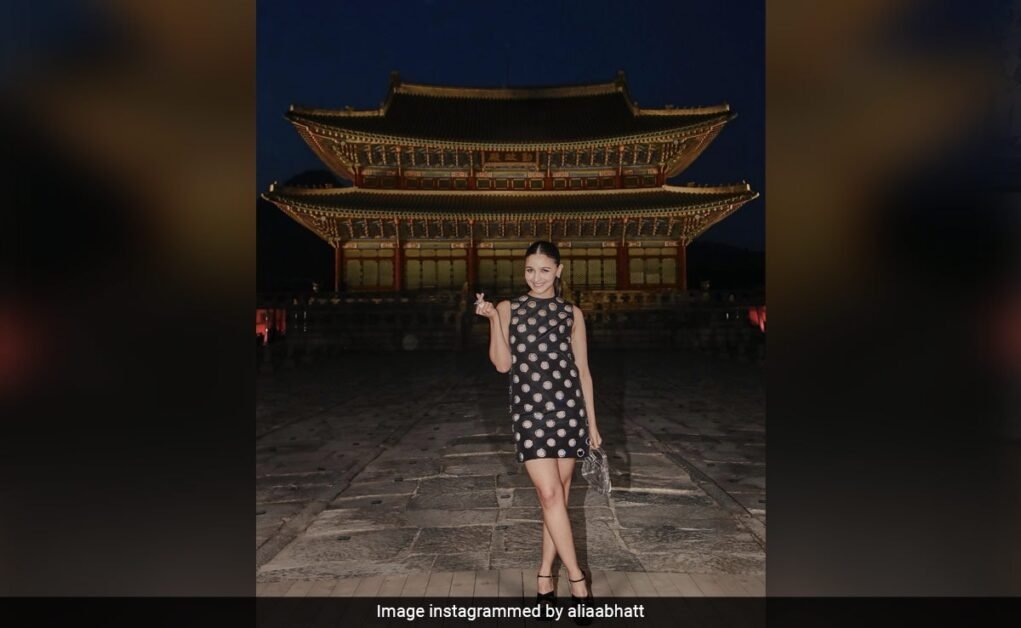 डियर ट्रोल्स, 'यस द बैग वाज़ खाली' - आलिया भट्ट ने इसे ऐसे ही बताया।  उसकी पोस्ट देखें