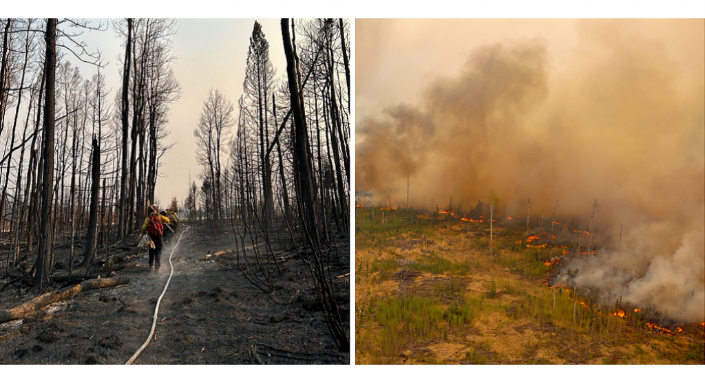 पूरे कनाडा में जंगल की आग भड़क रही है, ब्रिटिश कोलंबिया, अल्बर्टा और सस्केचेवान के प्रांतों से धुआं संयुक्त राज्य अमेरिका में आ रहा है।  आग मई 2023 की शुरुआत में शुरू हुई और अल्बर्टा और ब्रिटिश कोलंबिया में 10,000 लोगों को खाली करने के लिए मजबूर होना पड़ा।  अलबर्टा चालीस लाख से अधिक लोगों का घर है और लगभग 100 जंगल की आग के कारण आपातकाल की स्थिति में है, जिनमें से दर्जनों नियंत्रण से बाहर हैं।  तस्वीरें: @AlbertaWildfire / Twitter