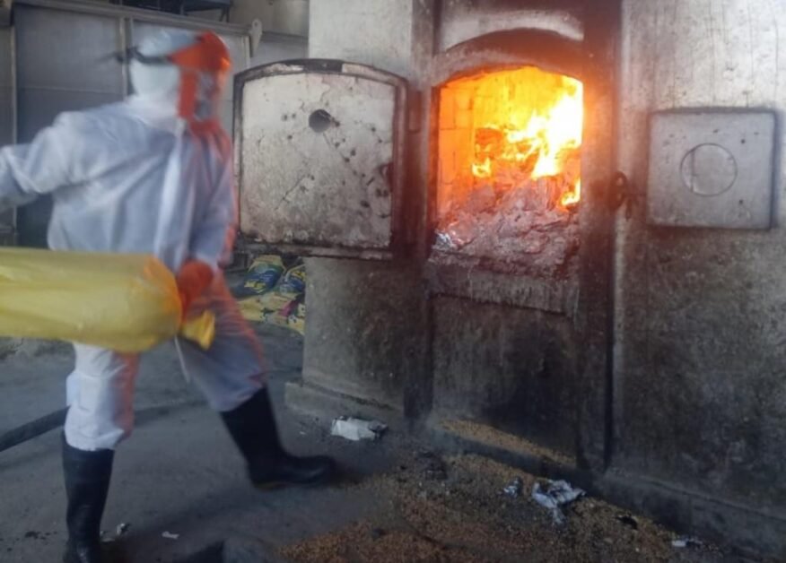 ऊर्जा वसूली से लैस एक केंद्रीकृत भस्मक सुविधा स्थापित करना स्वच्छता अपशिष्ट उपचार के लिए एक उपयुक्त समाधान है।