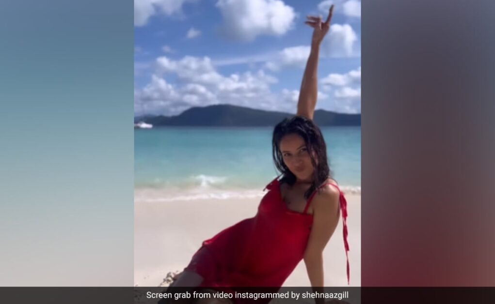 शहनाज गिल फुकेत में अपना सर्वश्रेष्ठ जीवन जी रही हैं।  नई पोस्ट देखें