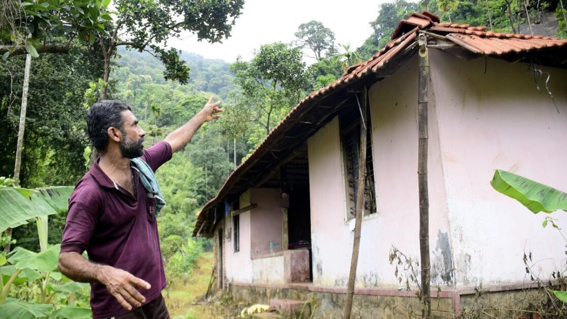 जंगली जानवरों के रास्तों पर खोया बफर जोन