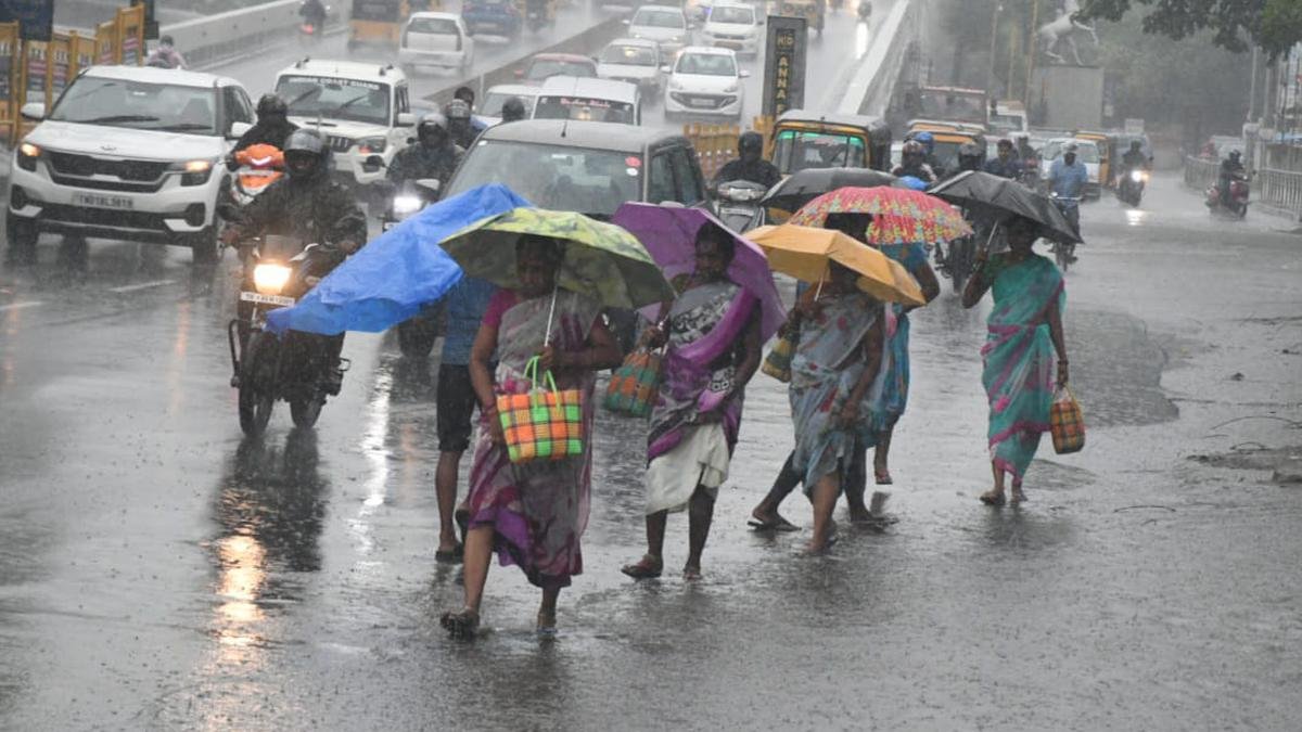 फ्रेम्स में |  चेन्नई बारिश
