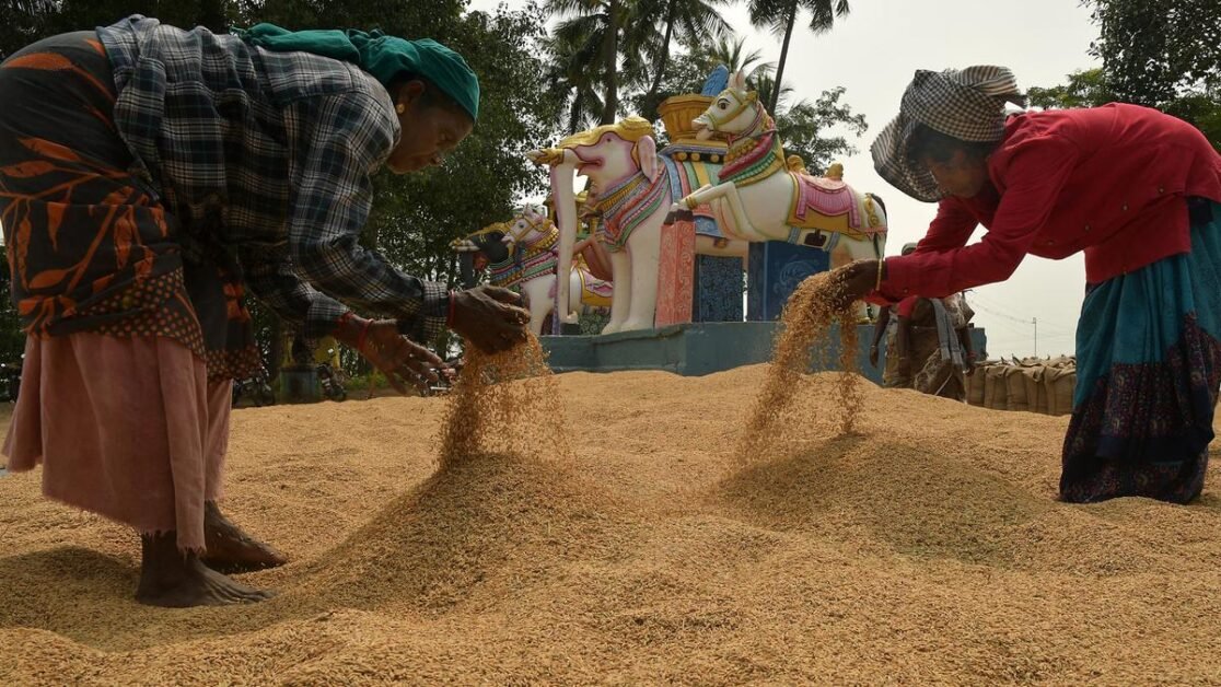 तमिलनाडु ने धान की खरीद में 40 लाख टन से अधिक की हैट्रिक बनाई
