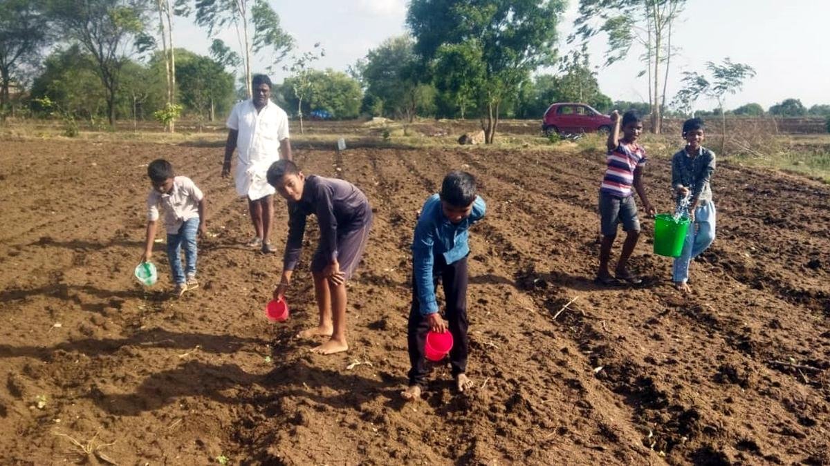 मानसून की देरी से किसानों को तगड़ा झटका लगा है