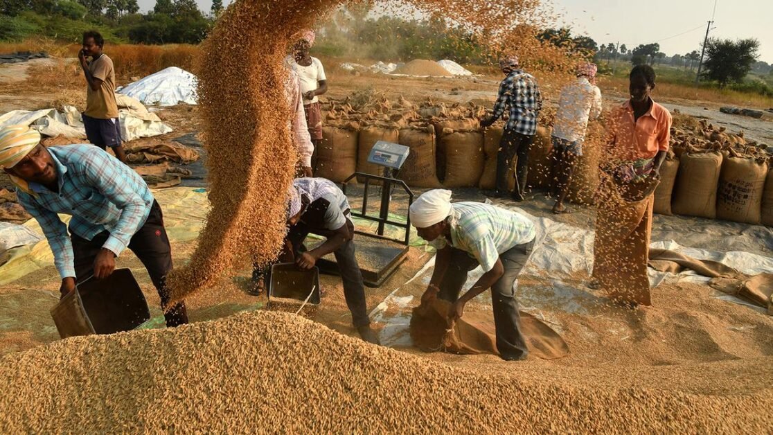 सरकार।  खरीफ सीजन के लिए कृषि उत्पादों के न्यूनतम समर्थन मूल्य में वृद्धि