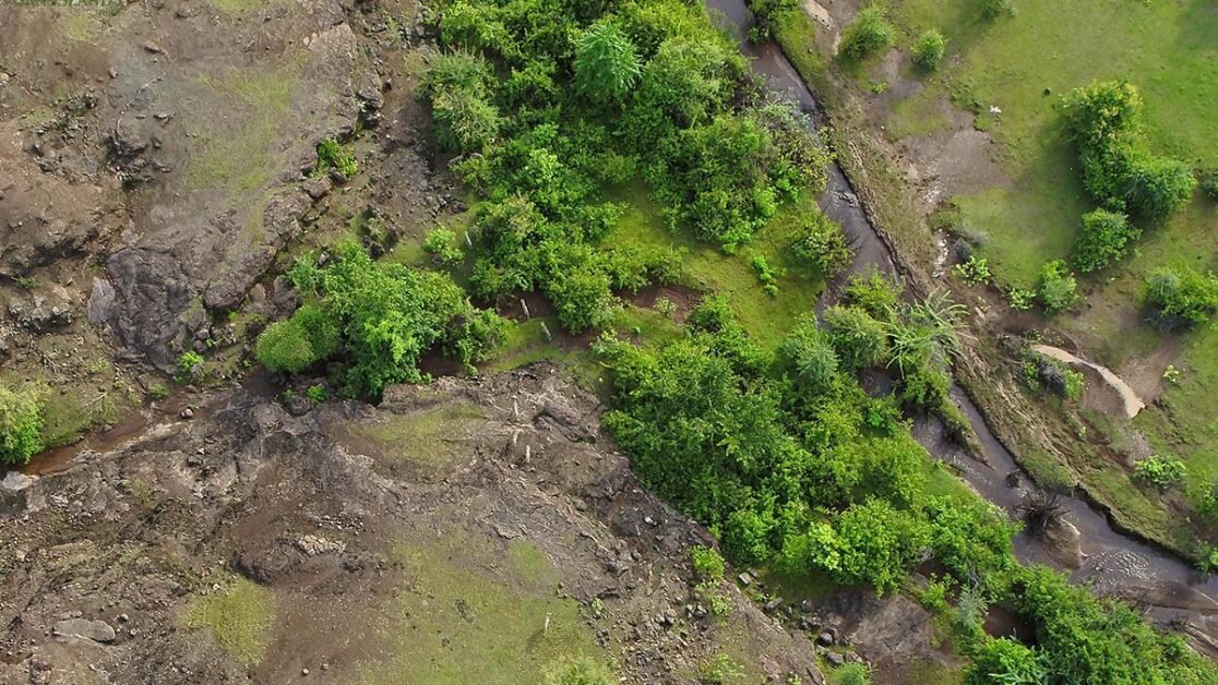 Hope for Hessarghatta as project in Pune showing that grasslands not wastelands