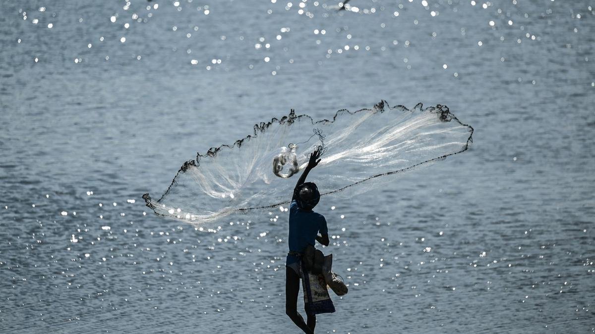 डब्ल्यूटीओ द्वारा मछली पकड़ने का सौदा हासिल करने की कोशिश से भारत हलचल मचा रहा है