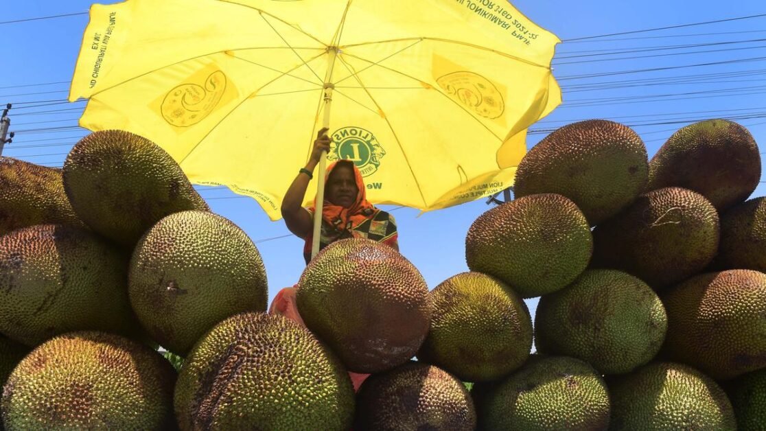 अप्रैल-जून में अत्यधिक गर्मी की संभावना;  मध्य, पश्चिमी प्रायद्वीपीय भागों पर सबसे बुरा असर पड़ने की आशंका: आईएमडी