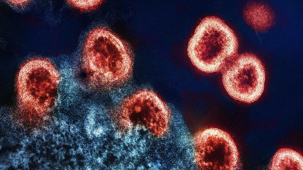 भारत में एचआईवी उपभेद कुछ शीर्ष व्यापक रूप से बेअसर एंटीबॉडी का विरोध करते हैं