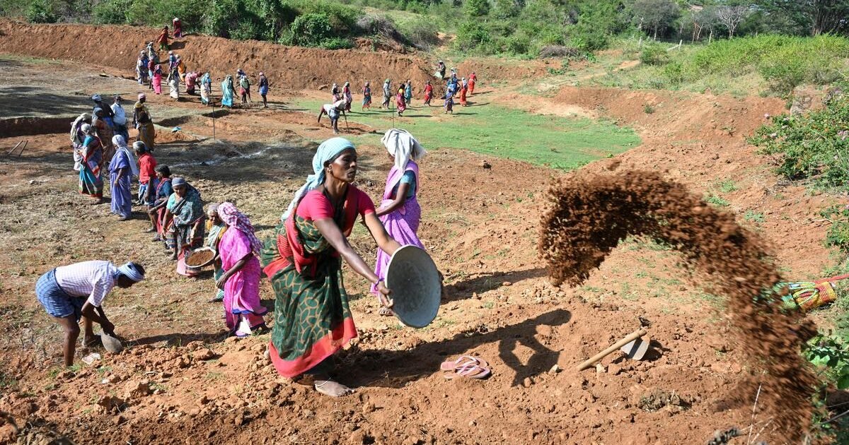 87 दिनों से धरने पर मनरेगा कर्मी: बिहार से राजस्थान तक ‘काम बंद’ की शिकायतें